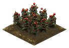 Hacked garden plot