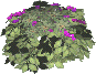 Nonewspaper shrub