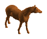 sims toy