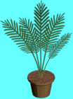 Floor plant