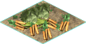 bunnyfood