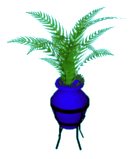 Floor plant