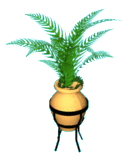 Floor plant