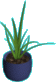 Table plant