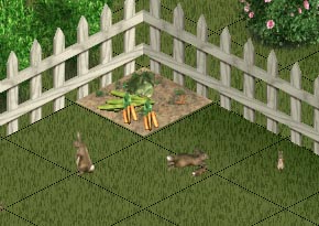 Rabbits
