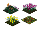Dragon food flowers